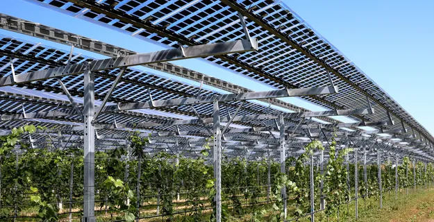 Hoch aufgeständerte PV-Systeme (Kategorie I Agri-PV)
